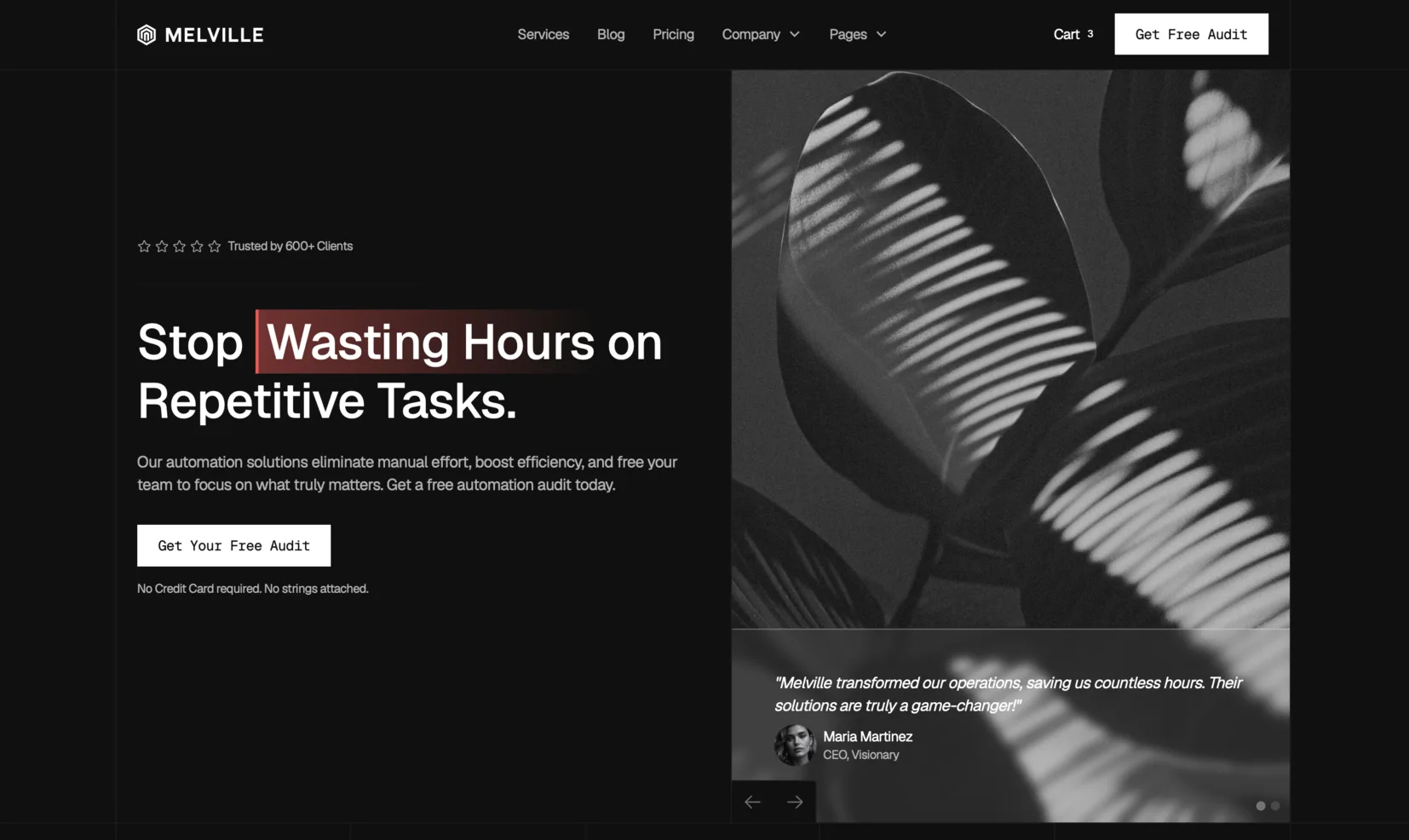 The Melville template home page.